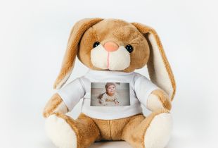 Peluche Bunny intro